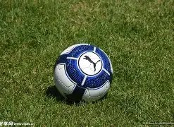 孔帕尼揭秘,基米希脚踝,受伤休战,亚博体育官网,亚博体育APP,Yabo,Sports,亚博体育平台