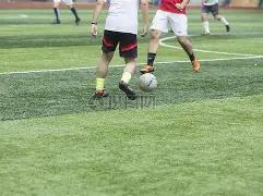 激情对决,昨日三场盛,猛龙激战,亚博体育官网,亚博体育APP,Yabo,Sports,亚博体育平台