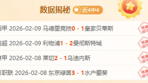 《坚定支持，纽卡高层力挺埃迪-豪：舆论风浪中，信任如磐石》