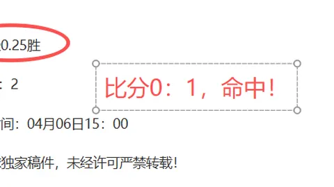 足球传奇谢幕：长谷部诚赛季收官